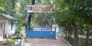 gradina zoologica barlad